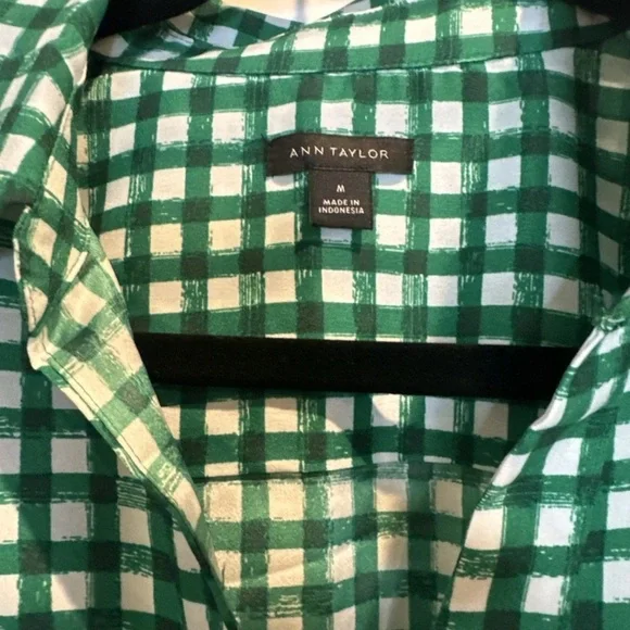 Ann Taylor Green and White Gingham Button-Down Shirt - Picture 3 of 5